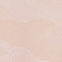 Tropical Peach Wave