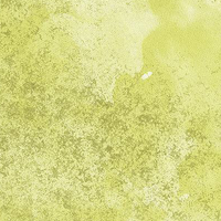 Citrus Watercolor Camo
