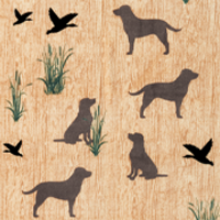 Duck Hunt