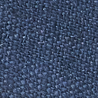Insignia Blue