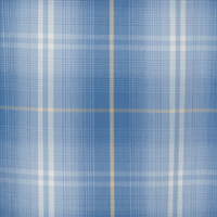 Captain Blue Plaid