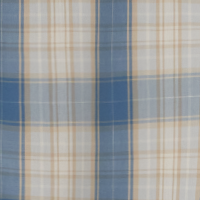 Captain Plaid