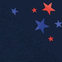Collegiate Navy/Elevated Patri