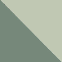 Agave Green