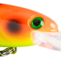 Haley's Chameleon