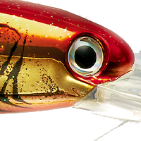 Copper Clown