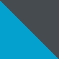 Blue Echo/Shark