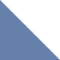 Bluestone/White Logo