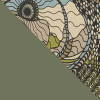 Cypress/Trout Shine