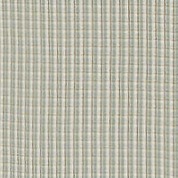 Aquifer Gingham