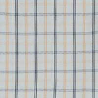 Ballad Blue Checks
