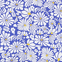 Shasta Daisy