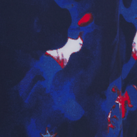 Midnight Navy