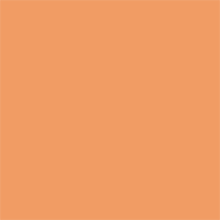 Copper Tan
