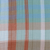 Plaid Multi