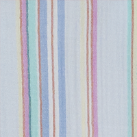 Skyway Stripe