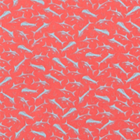 Hydrocoral