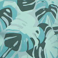 Monstera Silver Pine