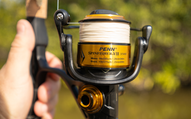 PENN Fishing Gear | Built for Saltwater Giants | Bass Pro Shops