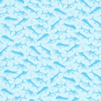 Splish Splash