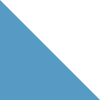 Blue Echo/White Logo