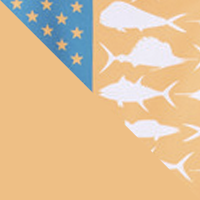Summer Orange/White Offshore