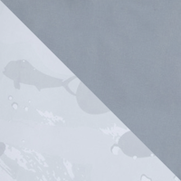 Light Grey/Grey