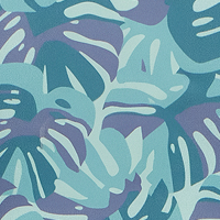 Blue Ice Monstera