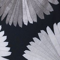 White Rays
