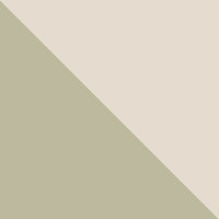 Safari/Dark Stone