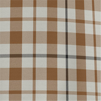 Carhartt Brown