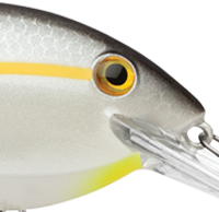 Gunmetal Shad