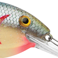 Tennessee Shad