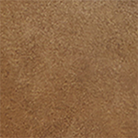Brown Bomber