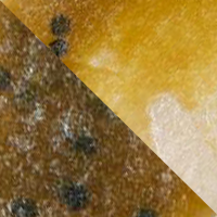 Green Pumpkin/Pearl White