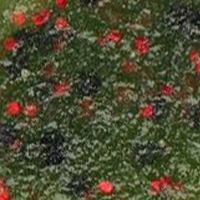 Watermelon/Red Flake