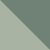 Shadow/Agave
