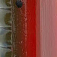 Green Pumpkin TX Red