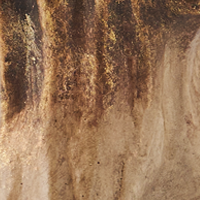 Multi Metallic Brown