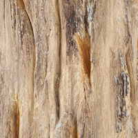 Wood Brown Wash