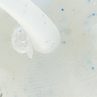 Tamaranbai Blue
