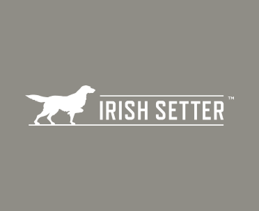 Irish Setter
