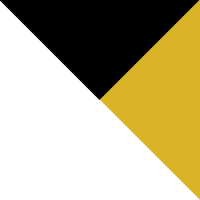Clear/Black/Yellow