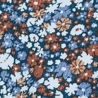 Blue Multi