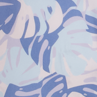 Ballad Blue Monstera