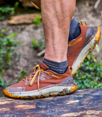 Hikers