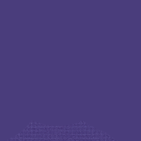Deep Wisteria