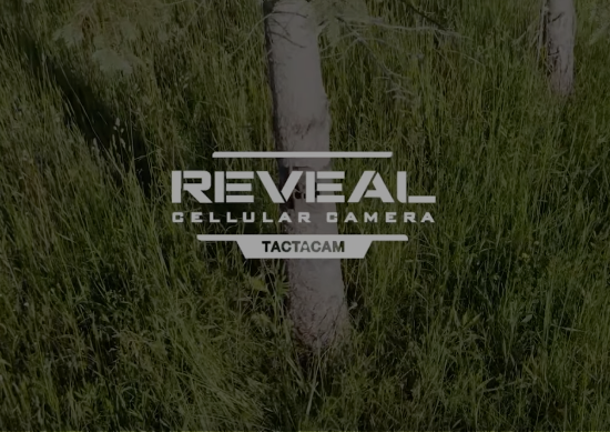 Federal Video Thumbnail