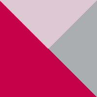 Shaded Fuchsia/Prime Pink/Reflective