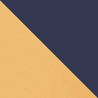 Summer Orange/Carbon Logo